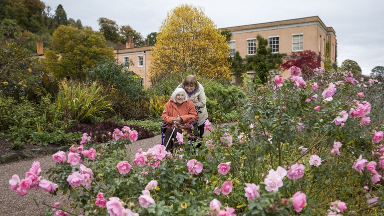 A visitor in a wheelchair admires the flowers in the garden with exterior of Killerton House in the background. Devon.